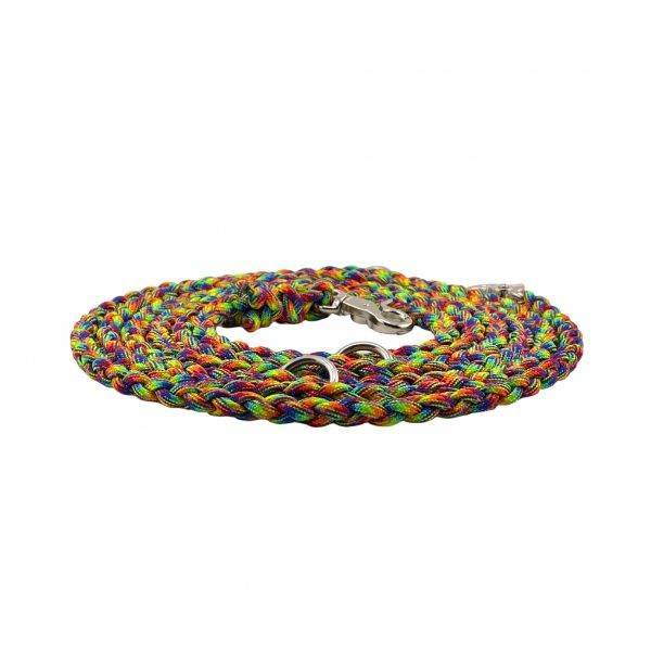 Paracordleine Pride Edition 2-Strang